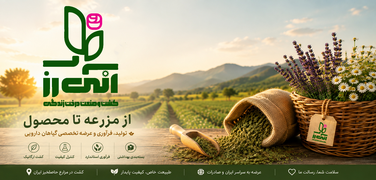 بنر آنی رز